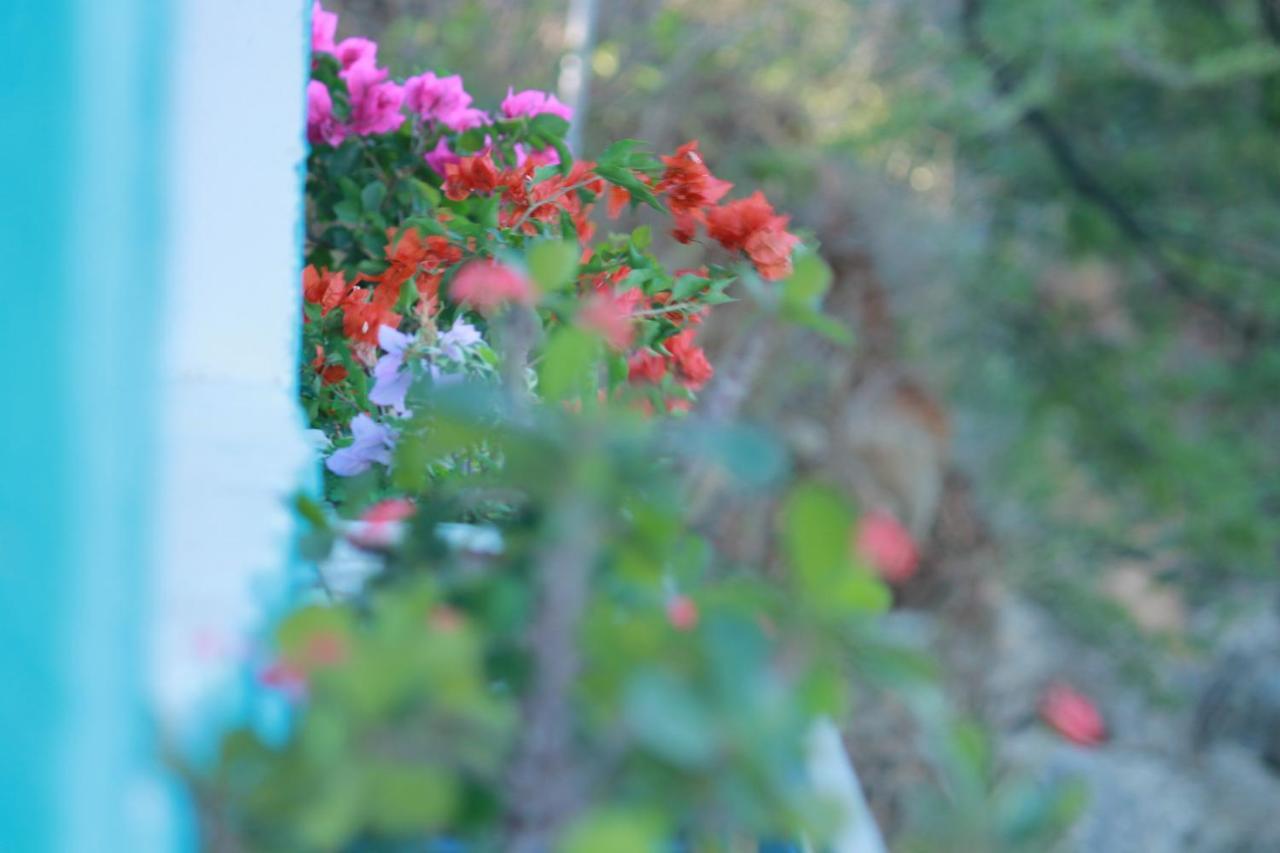 Hospedaje El Shadday Taganga Dış mekan fotoğraf